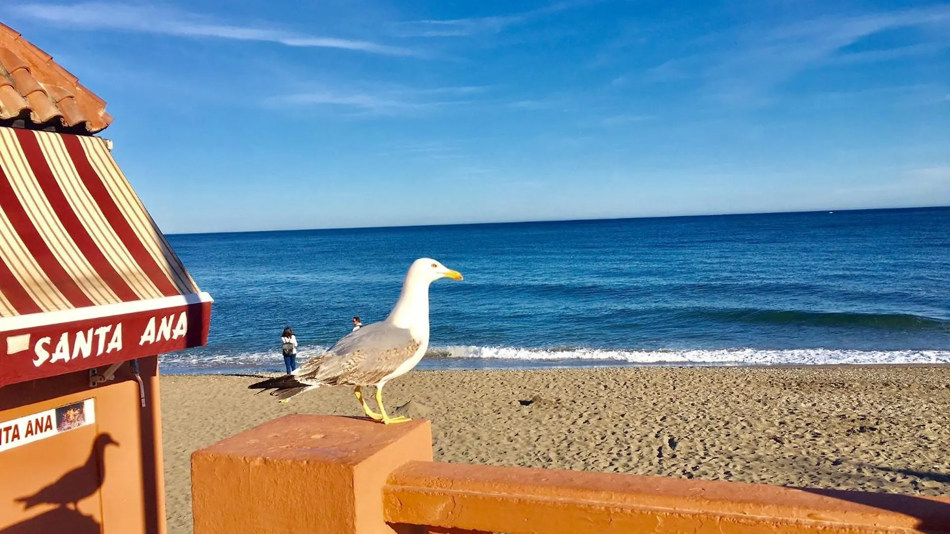 Apartment Los Patos Benalmadena Spain